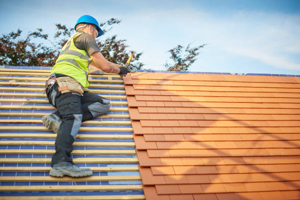 Best Roof Maintenance and Cleaning  in Diamond Springs, CA